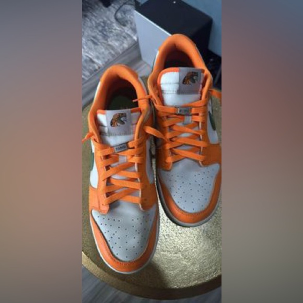 FAMU Nike Dunks